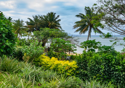 For Sale Coconut Grove Beachfront Cottages Taveuni-9